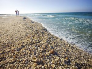 Shell Island's Stunning Beaches