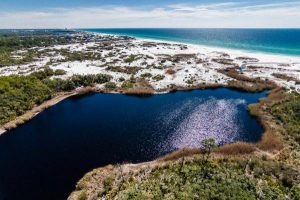 Coastal Dune Lake Alys Beach