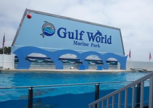 Gulf World Marine Park