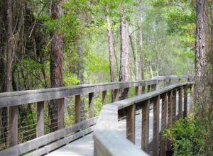 Alys' 20-acre nature preserve and trail