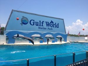 Gulf World Marine Park