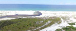 Camp Helen State Park Inlet Beach