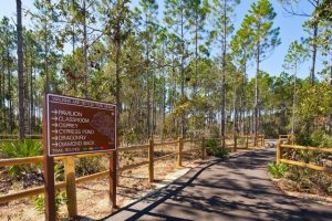 Experience the wildlife in Conservation Park