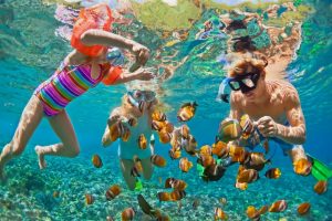 Sun Harbor Marina Snorkeling