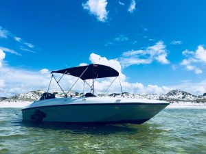 Speedboat Ride and Dolphin Watching Tour at Gulf Lagoon Beach