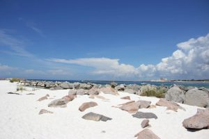 Trip to Shell Island in Bristol Harbor Marina Florida