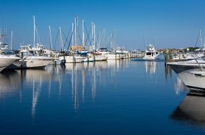 Boat tours in St. Andrews Marina Florida