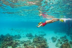 Snorkeling at the Marina