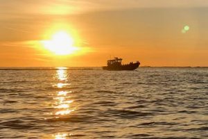 Sun Harbor Marina Sunset Boat Cruise