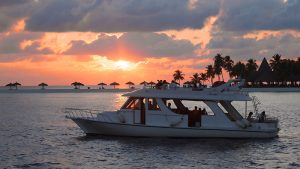 Dolphin tours and Sunset Cruise in Boat Ramp Florida