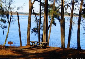 Three Rivers State Park near Gulf Lagoon Beach