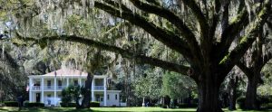 Eden Gardens State Park Inlet Beach