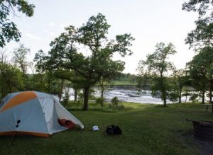 Camping and Wildlife Viewing in Boat Ramp Florida