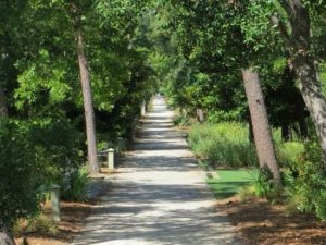 Hiking and Bicycling