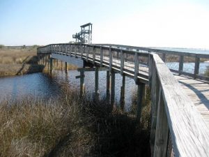 Observation Tower at Big Lagoon