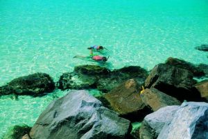 Snorkeling tours at St Andrew's State Park