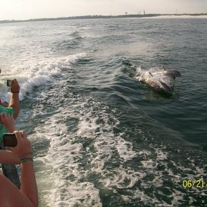 BOAT TOUR &WATER SPORTS in GRAND MARLIN OF PENSACOLA BEACH