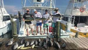 Sun Harbor Marina Fishing Charters