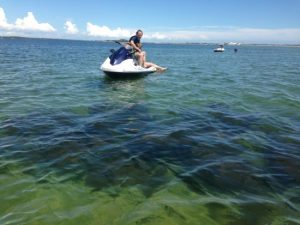 Wildlife Viewing at Shell Island