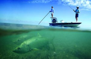 Fishing in Bristol Harbor Marina Florida