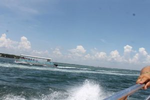 Speedboat Ride and Dolphin Watching Tour in Panama City Beach