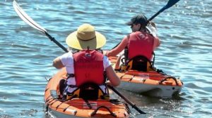 Sun Harbor Marina Kayaking