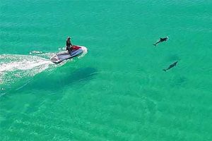 Jet ski tours in Shrimp Boat Panama City Florida