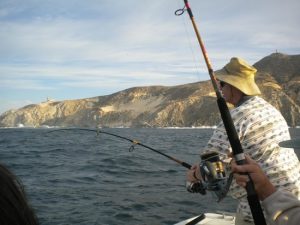 light tackle fishing in Pirates Cove Marina Florida