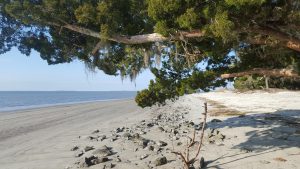 Visit Beaches at St. Andrews