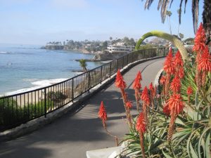 Laguna beach walk