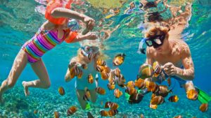 8 best Guide to Snorkeling